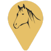 Map Pin